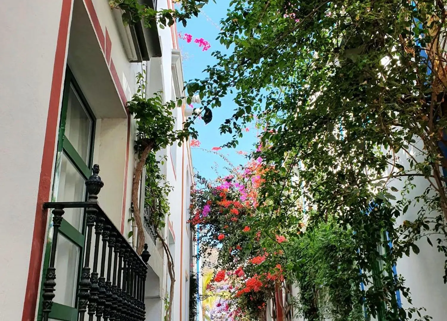 Billy'S Puerto De Mogan Apartments By Livvo