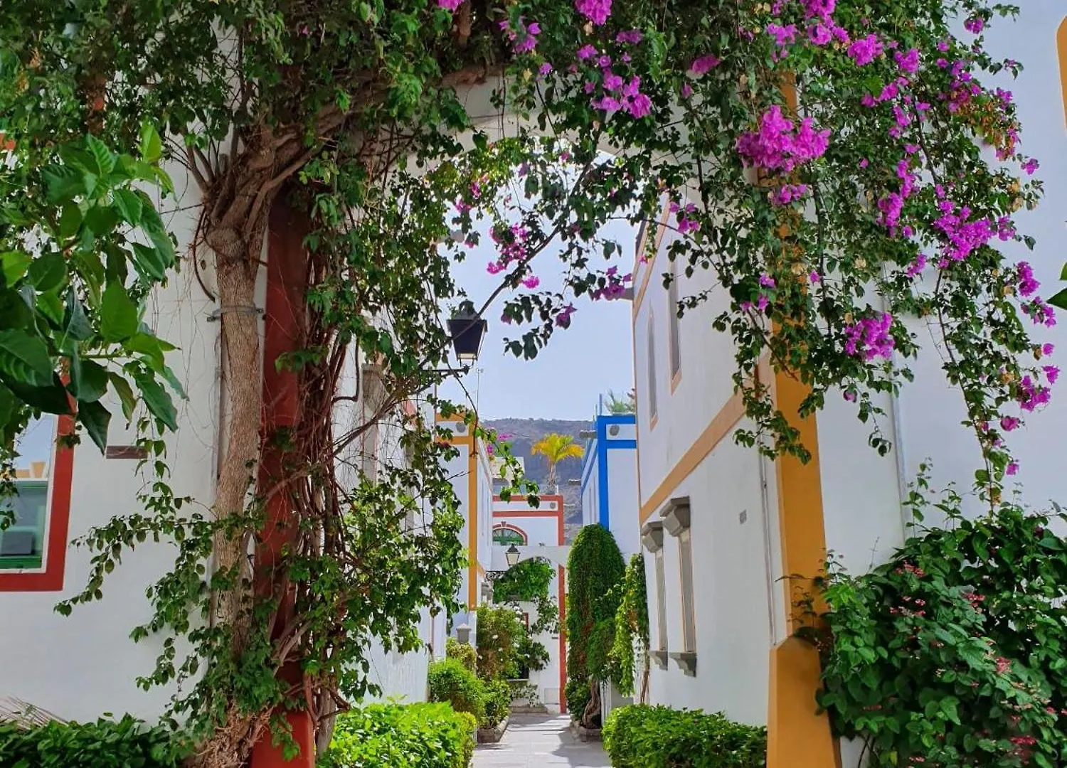 Billy'S Puerto De Mogan Apartments By Livvo 0*,  إسبانيا