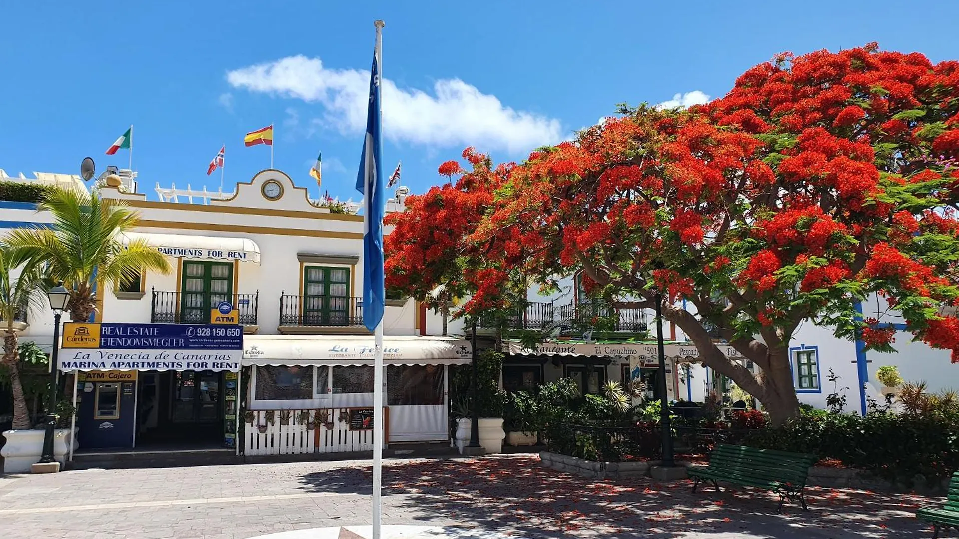 Billy'S Puerto De Mogan Apartments By Livvo